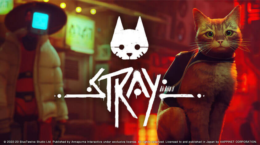 Stray